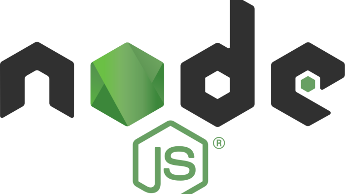 NodeJS ile sizin için web sitenize Back-End yazabilirim