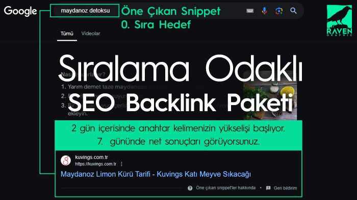 sıralama odaklı SEO backlink paketi sunarım