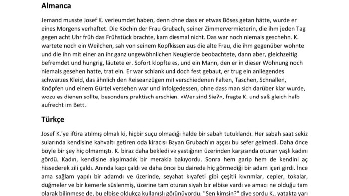 Almanca/Türkçe dillerinde profesyonel çeviri yapabilirim