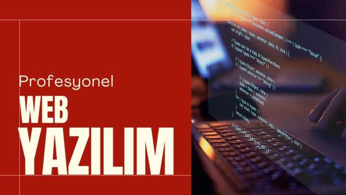 özel kodlanmış web siteleri yaparım