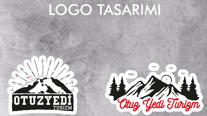 firma analizlerim sonucu logo tasarımı yapabilirim