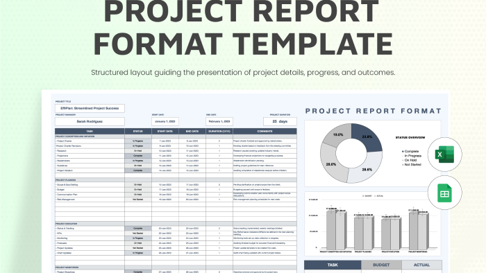 ileri seviye formüllerle dinamik Excel dosyaları hazırlarım