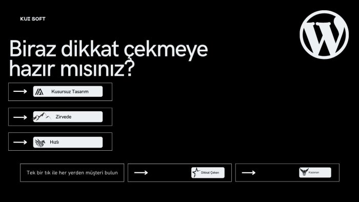 profesyonel wordpress  siteleri geliştirebilirim