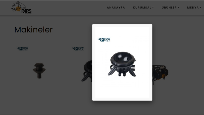 web sitelerinizi daha dinamik hale getiririm