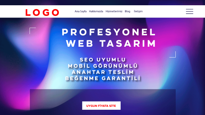 uygun fiyata internet sitenizi yaparım