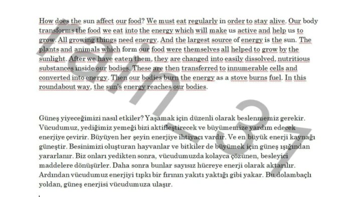 Türkçe-İngilizce çeviri yaparım