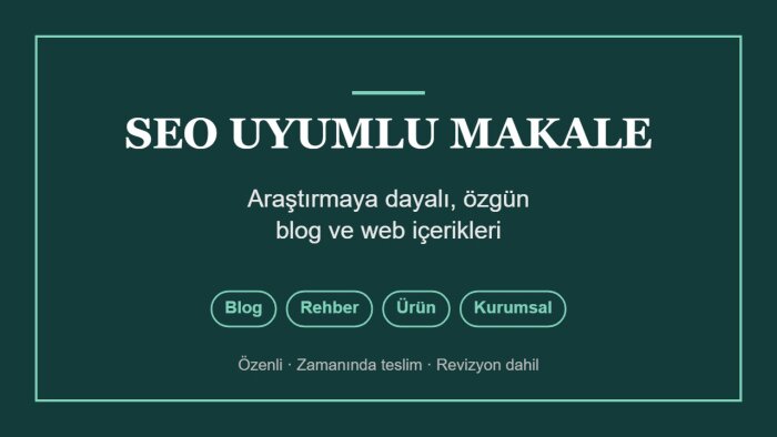 araştırmaya dayalı SEO uyumlu blog ve makale yazarım