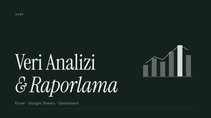 Excel ve Google Sheets ile veri analizi ve rapor hazırlarım