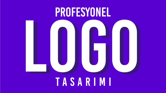 profesyonel ve özgün logo tasarımı yaparım