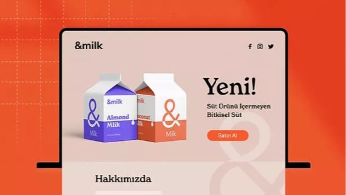 özel landing sayfası tasarlarım