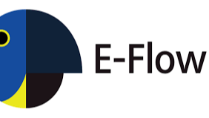 E-Flow Süreç tasarımında size destek verebilirim