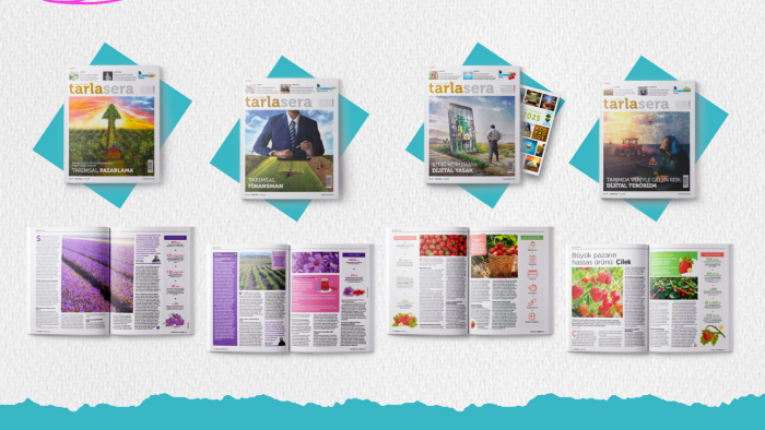 dergi, katalog ve yayın mizanpaj tasarımı yapıyorum