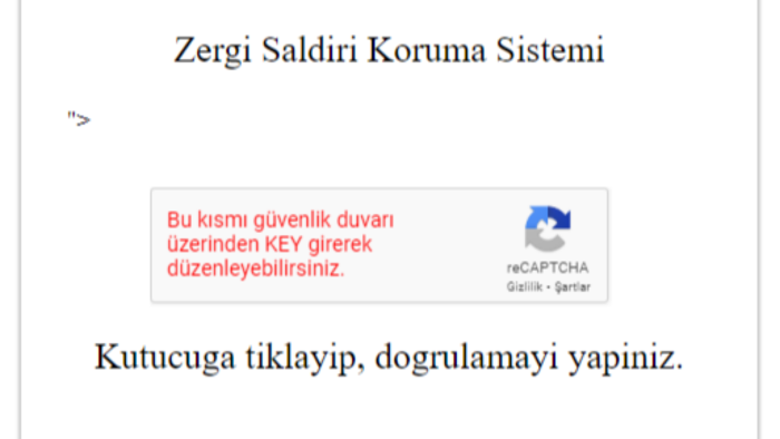 sitelerinize gelecek olan saldırılara karşı koruyabilirim