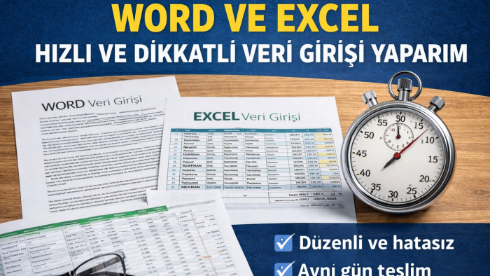 word ve excel dosyalarınız için veri girişi yaparım