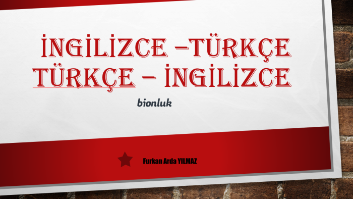 İngilizce-Türkçe; Türkçe-İngilizce çevirinizi yaparım