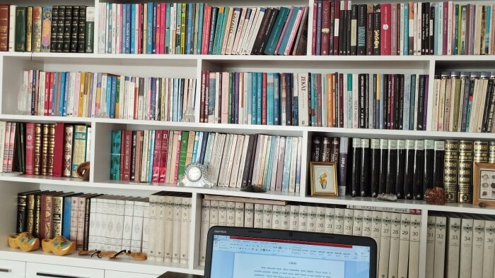 görsel ve işitsel kayıtları metne çevirebilirim