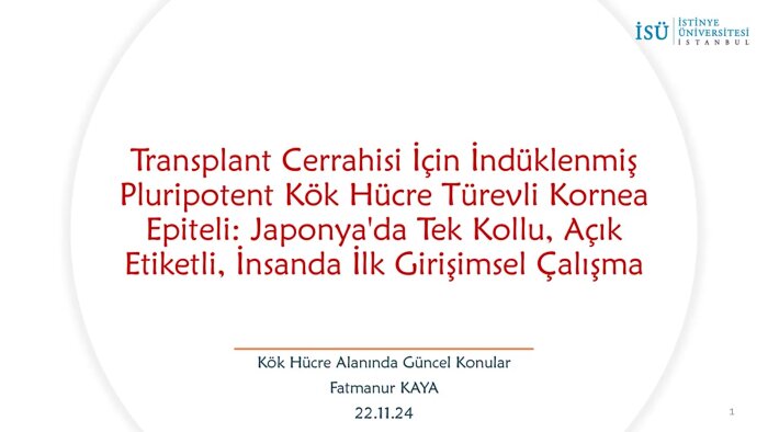  akademik metinlerinizin hazırlanmasına destek olurum