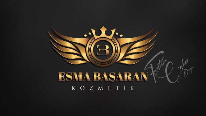 profesyonel logo ve kurumsal kimlik çalışması yapıyorum