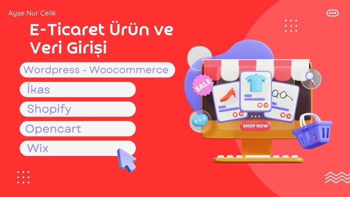 e-ticarette ürün ve girişlerinizi yapabilirim