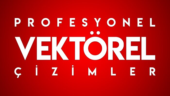 vektörel illüstrasyon ve karikatür çizimlerinizi yaparım