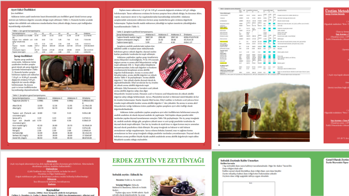 istediğiniz şekilde katalog broşür tasarlarımı yaparım