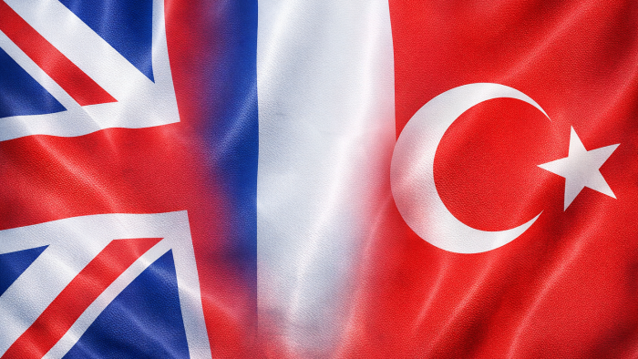 profesyonel Fransızca çeviri yapıyorum