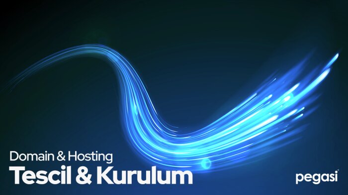 domain ve hosting hizmeti verebilirim