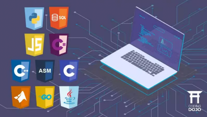 güncel(svelte, mongodb) diller ile web sitenizi yapabilirim