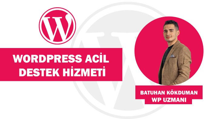 wordpress profesyonel destek hizmeti sunarım