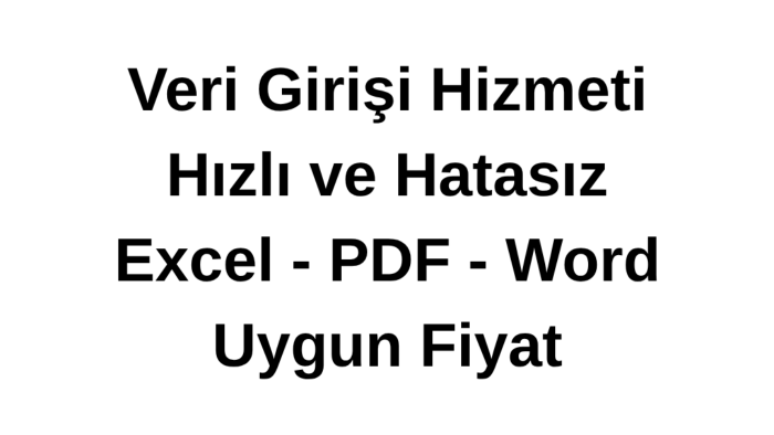 veri girişi ve excel işlemlerinizi hızlı ve dikkatli yaparım