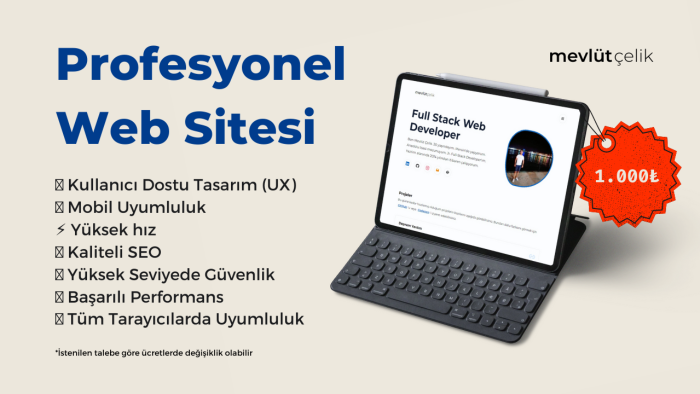 profesyonel web sitesi hazırlayabilirim