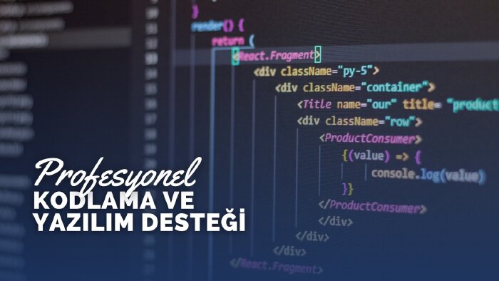 programlama hatalarını çözüp yazılım desteği sağlayabilirim