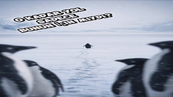 Sosyal medya için trend videolar hazırlarım