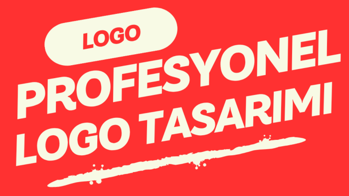 akılda kalıcı logo tasarlarım