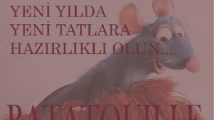 firmanız için akılda kalıcı logo ve broşürler tasarlarım