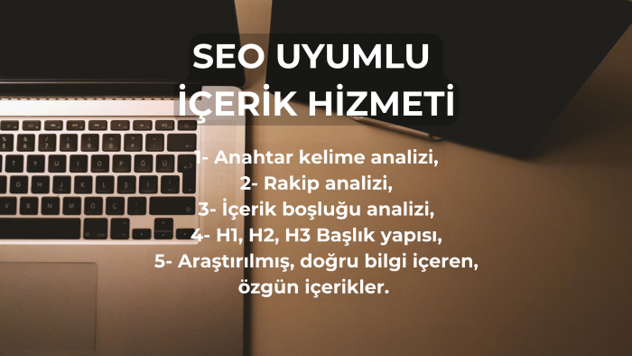 SEO uyumlu makalelerinizi hazırlayabilirim