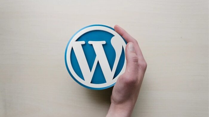 hedeflerinize uygun kapsamlı wordpress siteleri inşa ederim