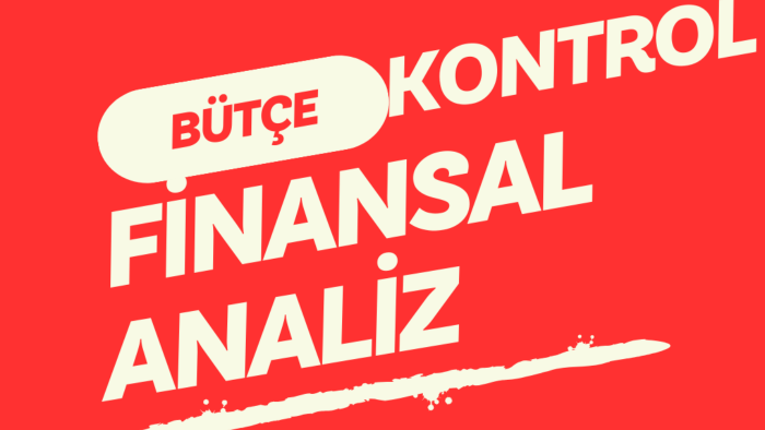 bütçe ve karlılık ile ilgili analiz yapabilirim