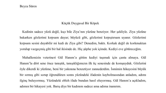 SEO uyumlu ve okuyucu merkezli metinler yazarım