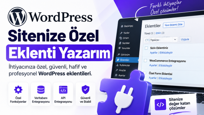 WordPress sitenize özel eklenti yazarım