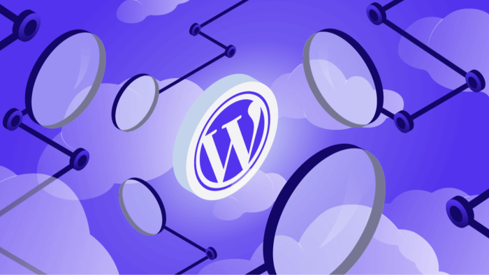 anahtar teslim wordpress sitenizi yaparım