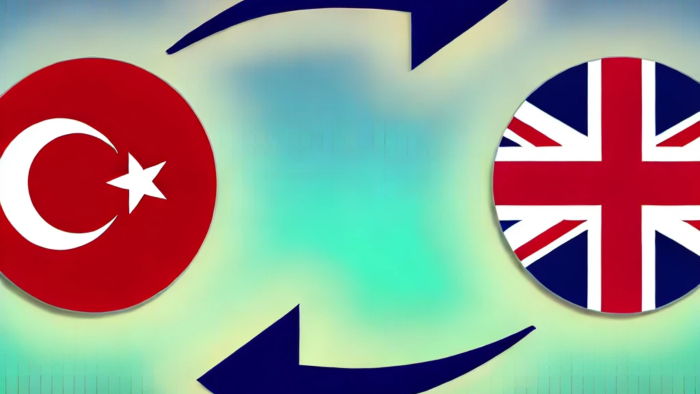 profesyonel İngilizce-Türkçe çeviri hizmetleri yaparım