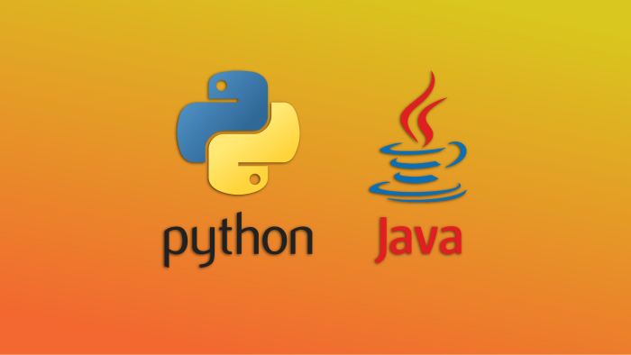 Java ve Python projelerinizde size yardımcı olabilirim