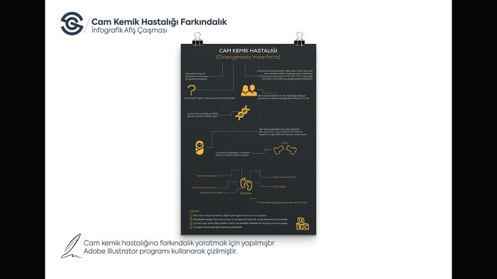 profesyonel sunuma özel infografik hazırlarım