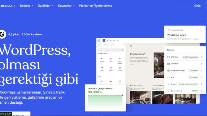 WordPress ile hızlı ve profesyonel web siteleri tasarlarım