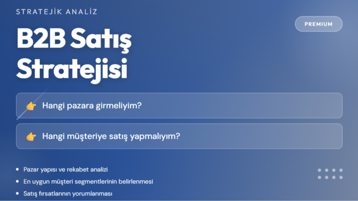 B2B satış stratejisi için pazar analizi yaparım