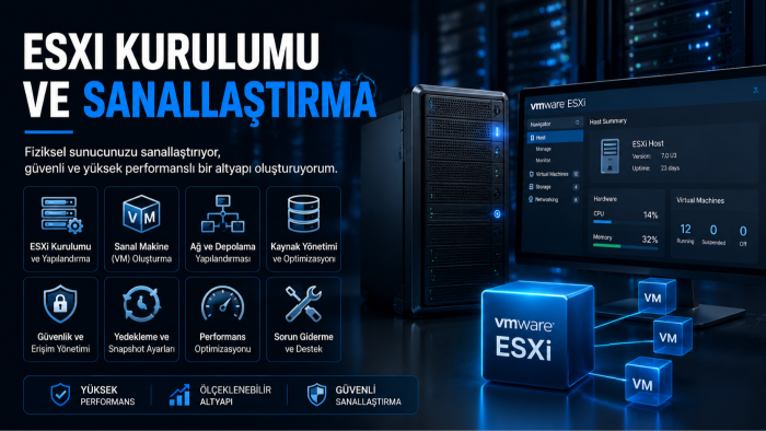 esxi kurumu ve sanallaştırma yaparım