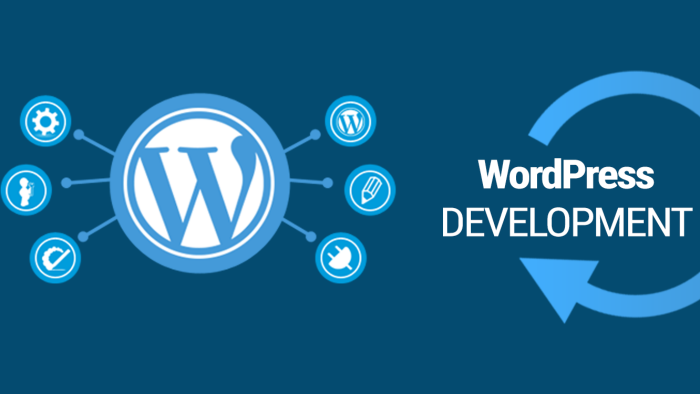 wordpress işlerinizi özel yazılım ile yaparım