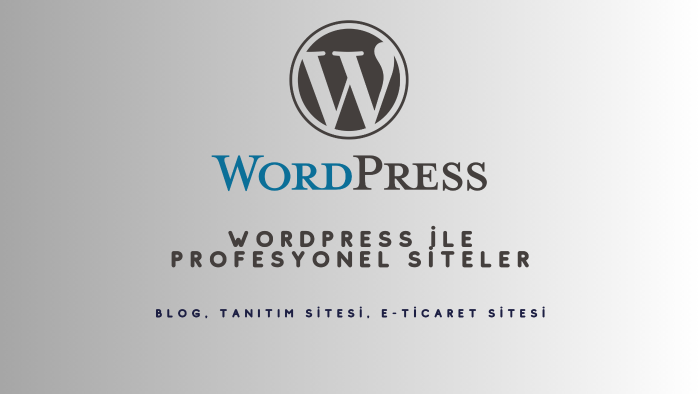 sizin için profesyonel websitesi yaparım