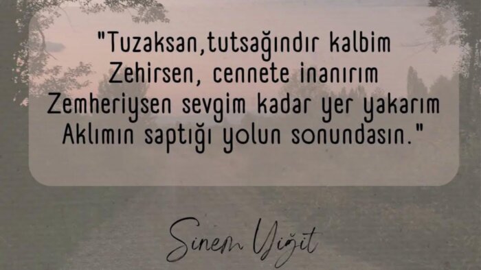 uzman olduğum bu konuda metinler yazarım
